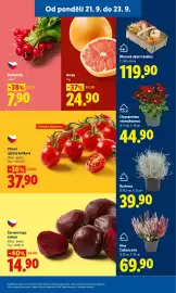 Lidl leták Strana 15: CHERRY RAJČATA KEŘÍKOVÁ €37,90, DRÁTOVEC €39,90