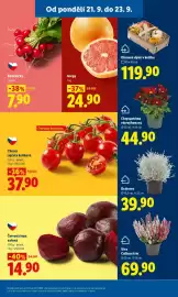 Lidl leták Strana 15: CHERRY RAJČATA KEŘÍKOVÁ €37,90, DRÁTOVEC €39,90