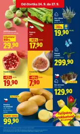 Lidl leták Strana 15: Brambory na uskladnění €99,90, Barevná orchidej €299,90