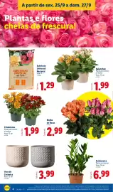 Folheto Lidl | Fim-de-Semana Página 4: Vaso de Cerâmica €3,99, Grandiol substrato universal nacional €1,29