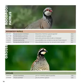 HANOS brochure | Wild Pagina 16