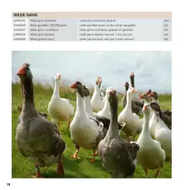 HANOS brochure | Wild Pagina 18