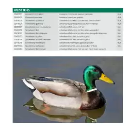 HANOS brochure | Wild Pagina 19