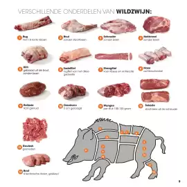 HANOS brochure | Wild Pagina 9