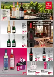 Selgros Prospekt woche 39 Seite 17