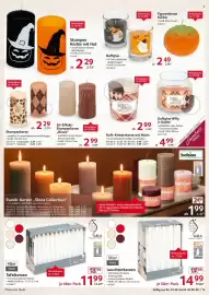Selgros Prospekt woche 39 Seite 15