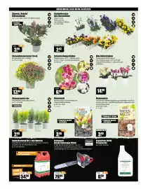 V Baumarkt Prospekt woche 39 Seite 2