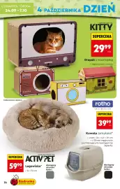 Biedronka gazetka Strona 34