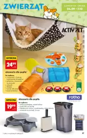 Biedronka gazetka Strona 37
