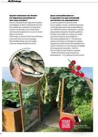 Catalogue Mr Bricolage page 64