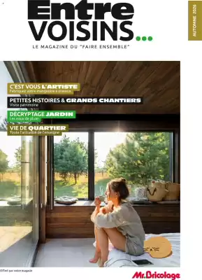 Mr Bricolage (valable jusqu'au 4-11)