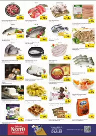 Nesto catalogue Page 16