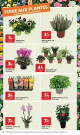 Catalogue Netto semaine 39 page 22: La plante €4,99, CYCLAMEN €3,99