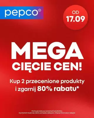 Pepco gazetka (ważność do 2-10)