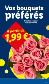 Catalogue Lidl semaine 39 page 27