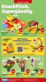 PENNY Prospekt woche 39 Seite 2
