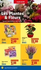 Catalogue Lidl semaine 39 page 28