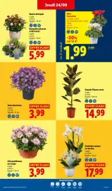 Catalogue Lidl semaine 39 page 29
