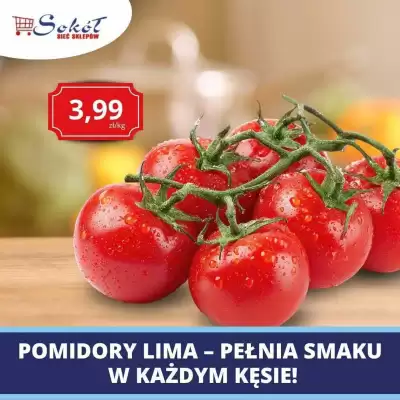 Sokół (ważność do 24-09)