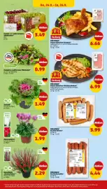 PENNY Prospekt woche 39 Seite 28