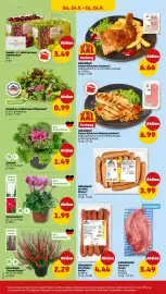 PENNY Prospekt woche 39 Seite 28