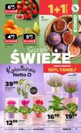 Netto gazetka tydzień 39 Strona 7: Truskawka €6,99, Pomarańcza luz €4,99