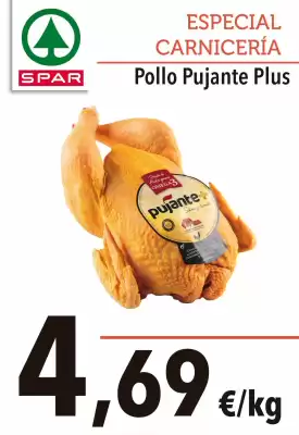 SPAR (válido hasta el 19-09)