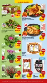 PENNY Prospekt woche 39 Seite 28