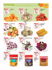 Globus leták týden 39 Strana 21: Celer €17,90, Karafiáty drobnokvěté €49,90