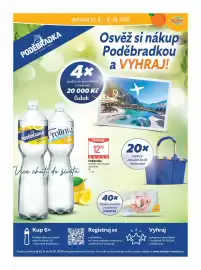 Globus leták týden 39 Strana 31
