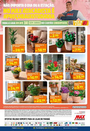 Encarte Max Atacadista Página 2: Kalanchoe dobrado pote €7,99, Gérbera pote 15- unidade €14,99