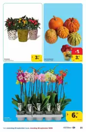 Carrefour Drive folder Pagina 25