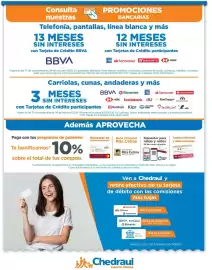 Folleto Chedraui Página 12