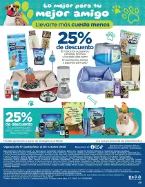 Folleto Chedraui Página 16: +uno accesorios para perro