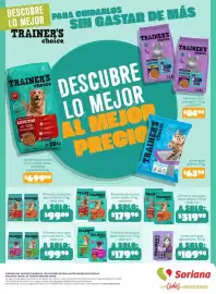 Catálogo Soriana Súper Página 19