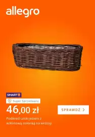 Allegro gazetka tydzień 38 Strona 2: Wiklinowa osłonka na wrzosy €46,00