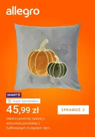 Allegro gazetka tydzień 38 Strona 3: Poszewka welurowa z haftowanym motywem dyni €45,99