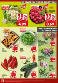 Kaufland gazetka Strona 5