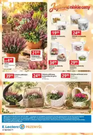 E.Leclerc gazetka Strona 20: Osłonka na doniczkę wanienna Chomik €29,99, Osłonka na doniczkę filiżanka Chomik €19,99