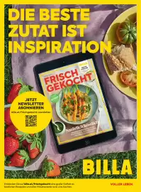 Billa Flugblatt Seite 130