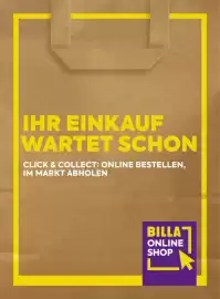 Billa Flugblatt Seite 169