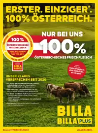 Billa Flugblatt Seite 46