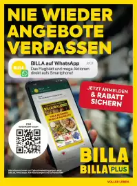 Billa Flugblatt Seite 60