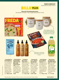 Billa Flugblatt Seite 7