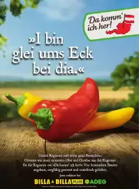 Billa Flugblatt Seite 84