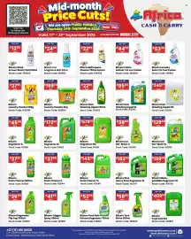 Africa Cash and Carry catalogue week 38 Page 56: Blixem Biodegradable Degreaser €199,00, Blixem Dish Washing Liquid €349,00