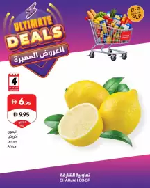 Sharjah Co-op catalogue Page 2