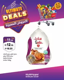 Sharjah Co-op catalogue Page 6