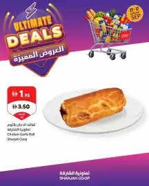 Sharjah Co-op catalogue Page 9