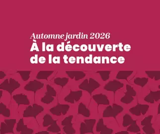 Catalogue Truffaut semaine 38 page 5